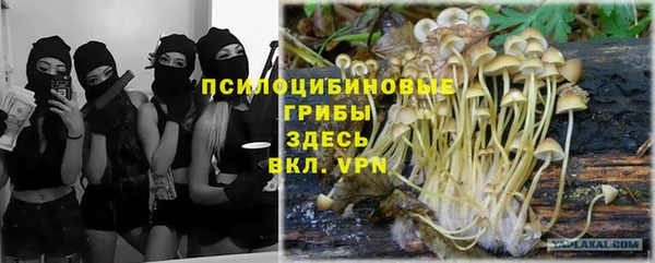 ешки Балахна