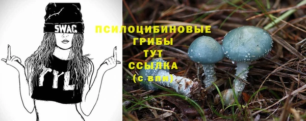 ешки Балахна